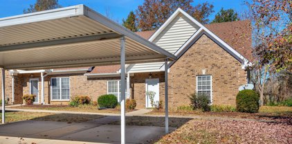 7103 Fernvale Springs Way, Fairview