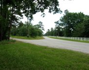 000 CR 302 at Deer Creek Lane, Plantersville image