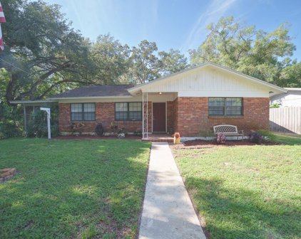 304 Jeanal Place, Tampa