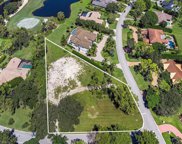 4387 Butterfly Orchid LN, Naples image