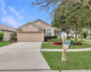 7807 Bristol Park Drive, Apollo Beach image