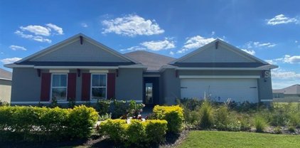 3230 Swan Song Court, Bartow