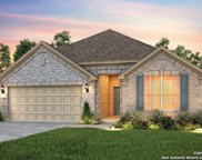 811 Silverberry Drive, New Braunfels image