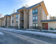 160 E La Bonte  Street Unit 102, Dillon image