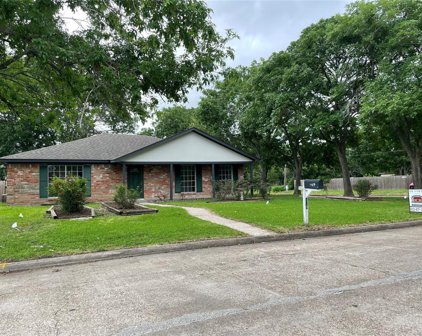 169 Bastrop Street, Angleton