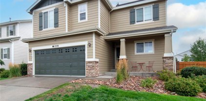 1339 Yellow Granite Way, Monument