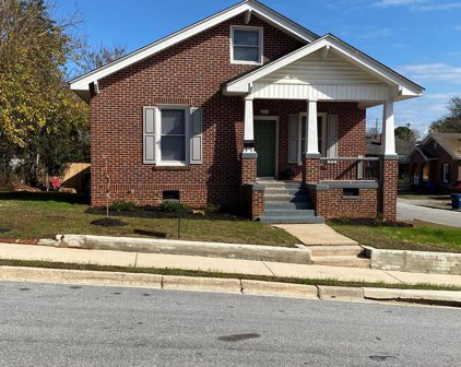 223 Park Street, Ninety Six