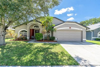 2793 Morningside Drive, Clearwater