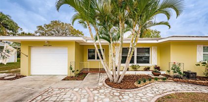 1612 Fruitwood Drive, Clearwater