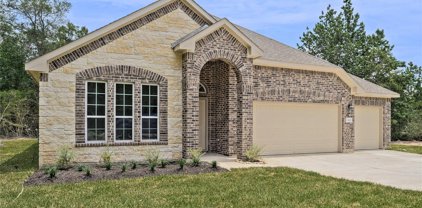 11603 Wilgers Way, Willis