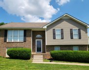 3033 Old Highway 48, Clarksville image