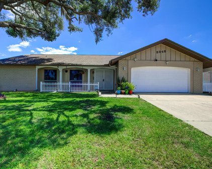 3348 Agar Avenue, Spring Hill