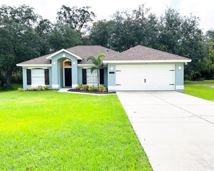 3110 Hallow Drive, Deltona