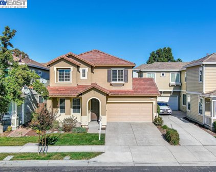 477 Silverwood St, Brentwood