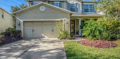 7460 Bridgeview Drive, Wesley Chapel