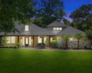 4303 Maple Rapids Court, Spring image