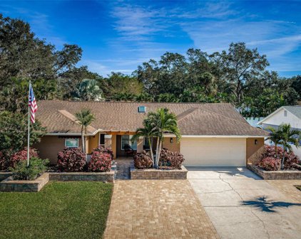 222 Foxcroft Drive E, Palm Harbor