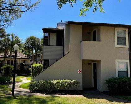 2911 Antique Oaks Circle Unit GE, Winter Park