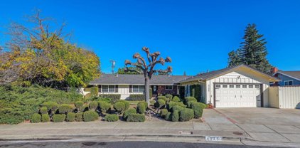 4245 Orangewood Ct, Concord