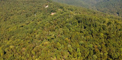 50 Acres Mcmullen Road, Gurley