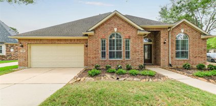 4411 Lightbranch Court, Katy