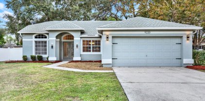 9220 Gerona Street, Spring Hill