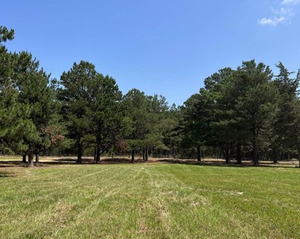 13009 CR 4122, Lindale
