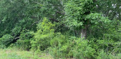 8355 Jessica, Citronelle
