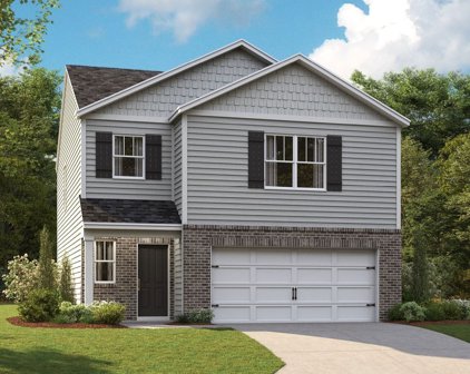 7148 Paisley Wood Drive, Antioch