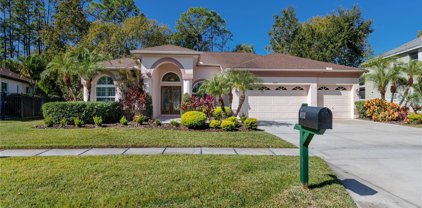 16112 Turnbury Oak Dr, Odessa