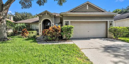 2216 Longmore Circle, Valrico
