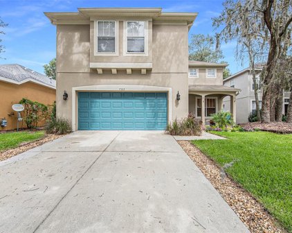 7322 Brightwater Oaks Drive, Tampa