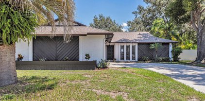 15801 Cottontail Place, Tampa