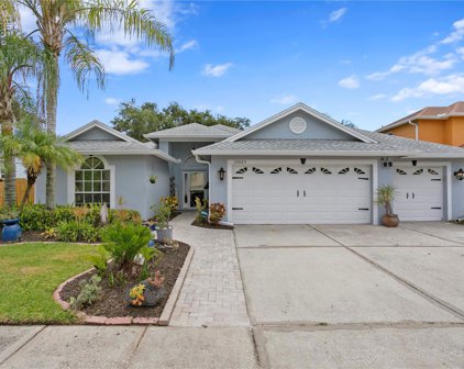 10025 Oasis Palm Drive, Tampa