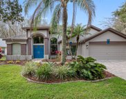 16018 Wilmington Place, Tampa image
