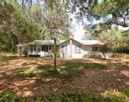 Dade City image