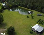 25000 Block Goat Cooper Road, Robertsdale image