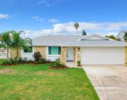 13421 Neptune Drive, Hudson image