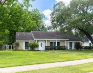 1401 Bracher Street, Houston image