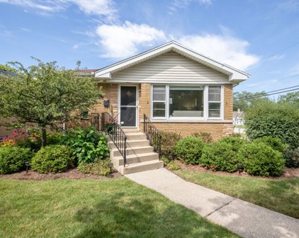 8156 N Ozark Avenue, Niles