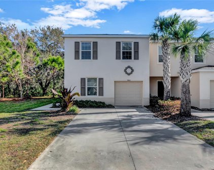 9802 Hound Chase Drive, Gibsonton