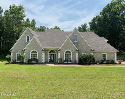 8867 Scenic Ridge Cove, Lake Cormorant