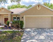 11419 Sterling View Court, Clermont image