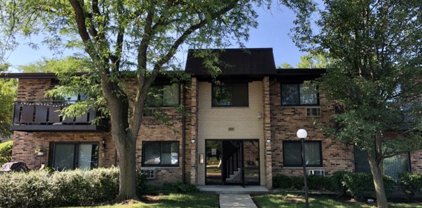 2624 N Windsor Drive Unit #201, Arlington Heights