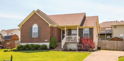 380 Bryce Way, Mt Washington