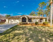19076 Cypress View  Drive, Fort Myers image