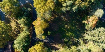 453 Pheasant  Run, Webster-265489