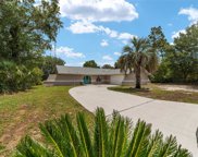 Ocala image