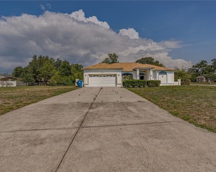 2320 Sparkleberry Court, Spring Hill