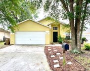17512 Silver Creek Court, Clermont image